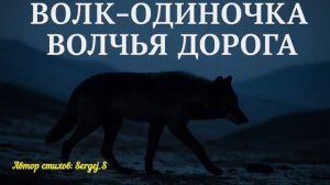 Волчья Дорога. Песня о пути одиночки