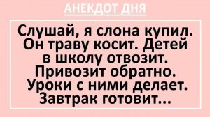 Слушай, я слона купил. Он траву косит. Детей в школу отвозит... | Анекдоты смешные | Юмор