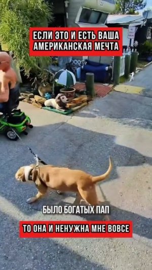 Если это  и есть ваша американская мечта, то она и ненужна мне вовсе