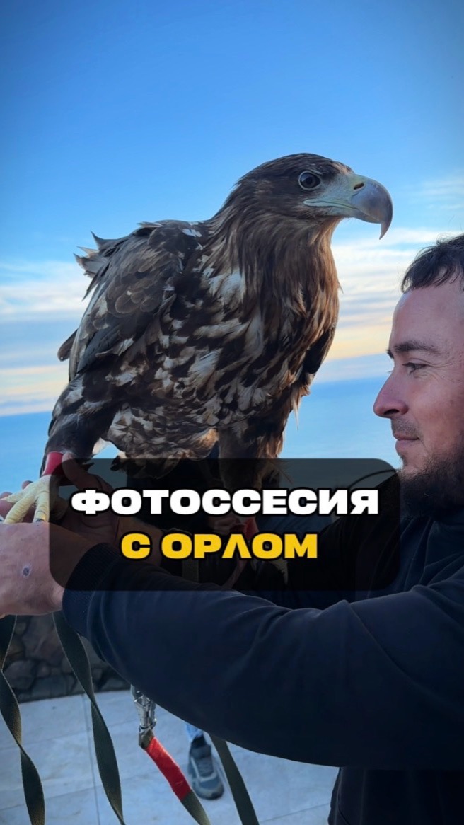 Путешествие в Абхазию: Впечатления и советы