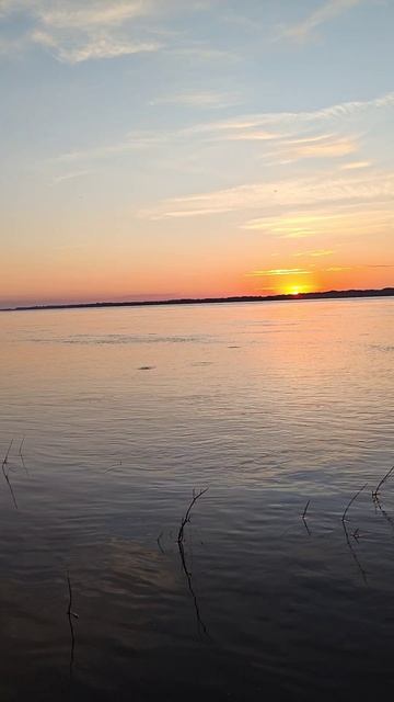 природа подпишитесь пожалуйста 