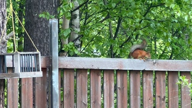 15-06-2026 когда все довольны