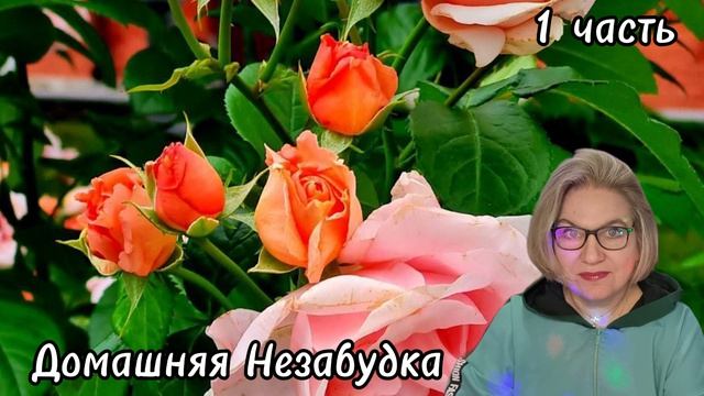 1 часть. Питер выдохнул💯❗️ВЫГРЕБЛИ из съёмной квартиры ВСЁ😱❗️ смотреть онлайн