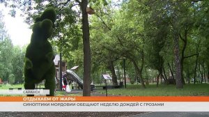 Синоптики Мордовии обещают неделю дождей с грозами
