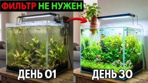 Превосходный природный фильтр: 5 преимуществ сладкого картофеля для аквариумов с растениями