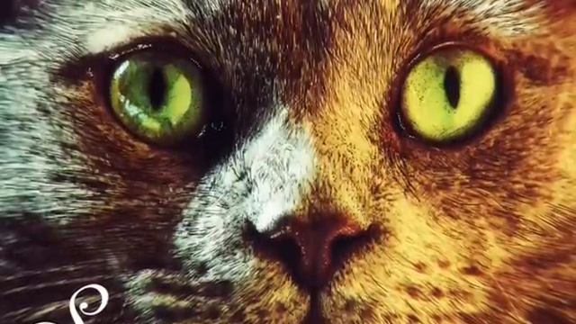 Technasia - I Am Somebody (Original Mix)