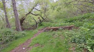 Кот паршивец,опять за своё. Прогулка на Кирпичинский ручей.