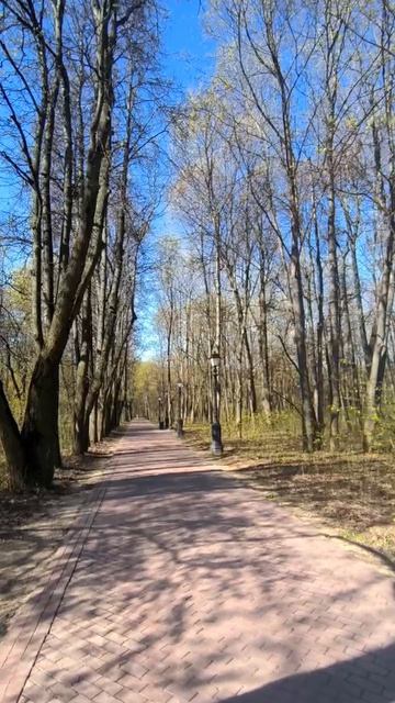 Парк-усадьба Царицыно. 2025. Москва смотреть онлайн