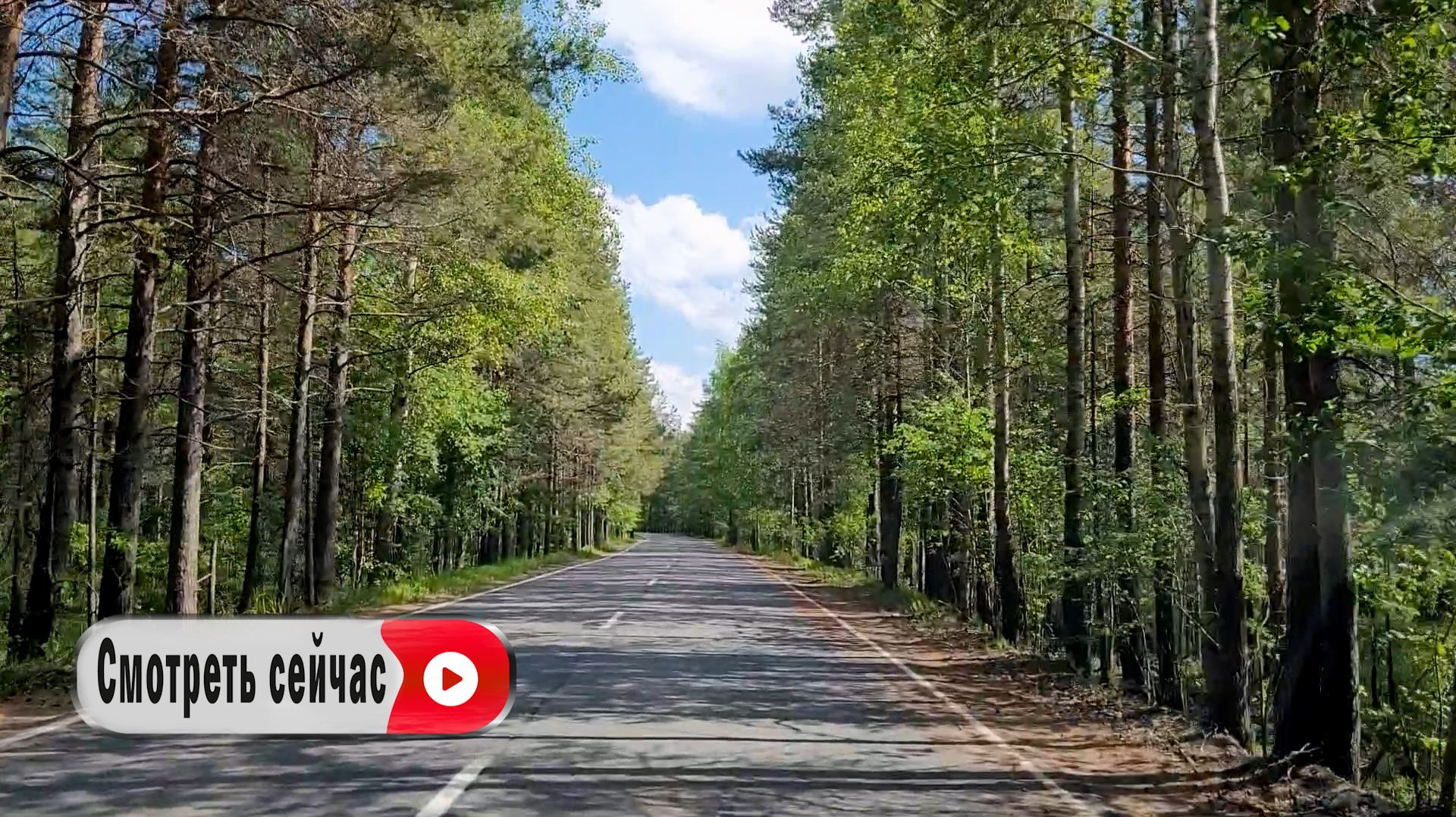Подальше от городской суеты. Счастье совсем рядом