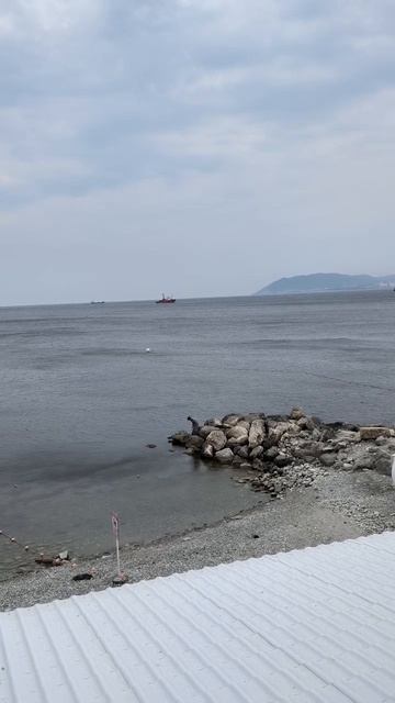 Море. Кабардинка 2025 смотреть онлайн