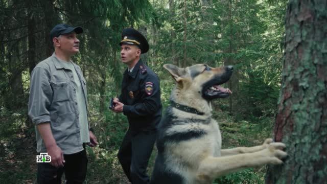 Сериал «Леший» (НТВ, тизер) смотреть онлайн
