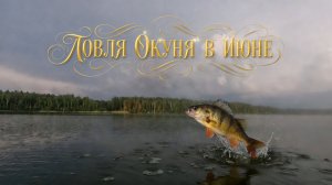 ЛОВЛЯ ОКУНЯ В ИЮНЕ ! Рыбалка на спиннинг.