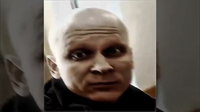пельмени