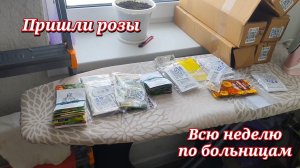 На ВБ пришли розы и газон. Целую неделю по больницам.