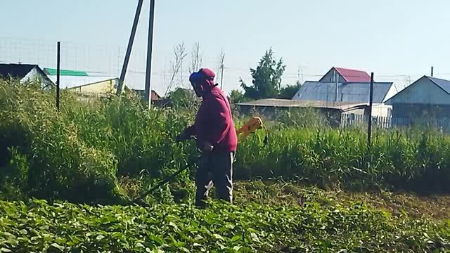 Эх, покошу сегодня! 15.06.26.