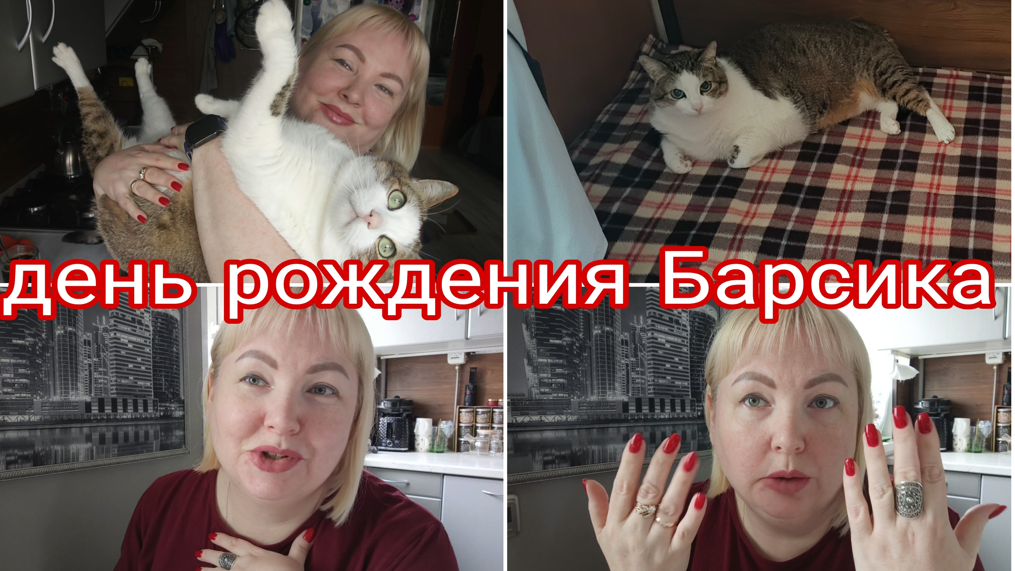 15-06-2026 Думала, говорить не о чем * Барсику 7 лет * Герпес накрыл * Снова про отношения
