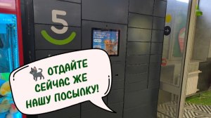 ТРИ ПОСЫЛКИ, ТРИ РАЗНЫХ УПАКОВКИ! РАСПАКОВКА И ИСТОРИЯ ПРО ЖАДНЫЙ ПОСТОМАТ. 15-06-2026