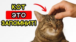 5 маленьких ЖЕСТОВ, которые делают кота по-настоящему ЛЮБИМЫМ!
