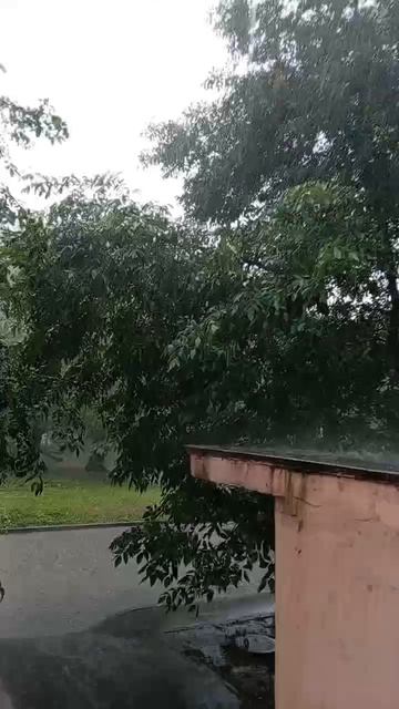3592.mp4