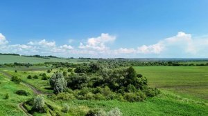 Лето в Пензенской области #природа #лето2026 #пенза