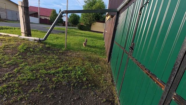 Почему я их закрыла.