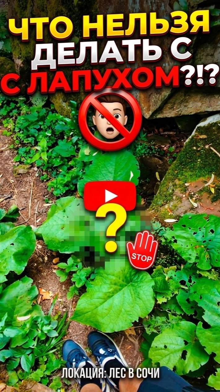 Что нельзя делать с лапухом 😱