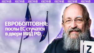 Болтовня евротройки: Вассерман – о том, как послы трех стран в МИД РФ ходили / Открытым текстом