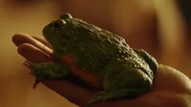 1000003319.mp4 смотреть онлайн