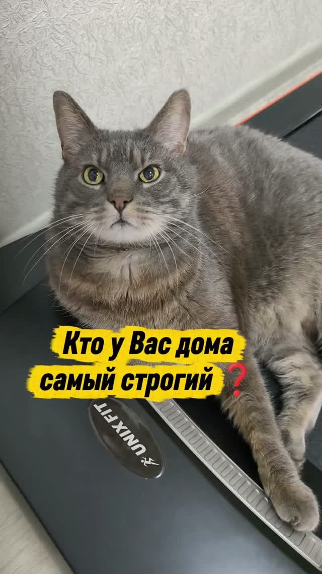 Кто у вас дома самый строгий? 🤭