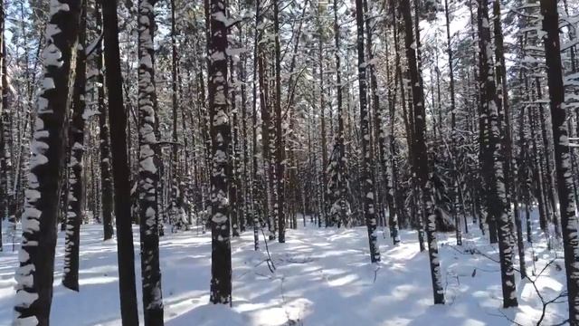10 Красивое Видео Природы