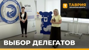 В Геническе и Новотроицком прошла серия конференций местных отделений партии «Единая Россия»