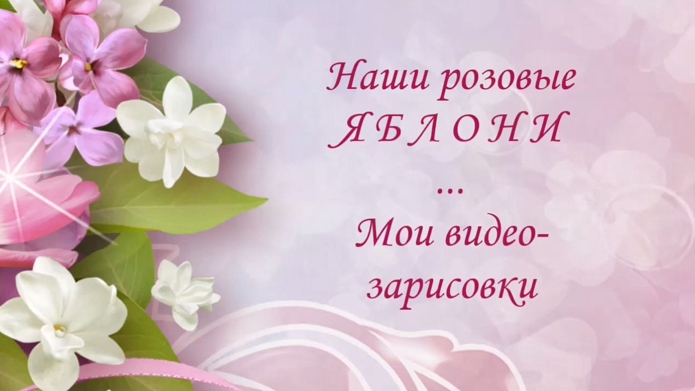 ОМСК / Розовые Яблони  (Май 2020)