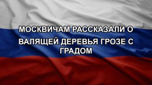 Москвичам рассказали о валящей деревья грозе с градом