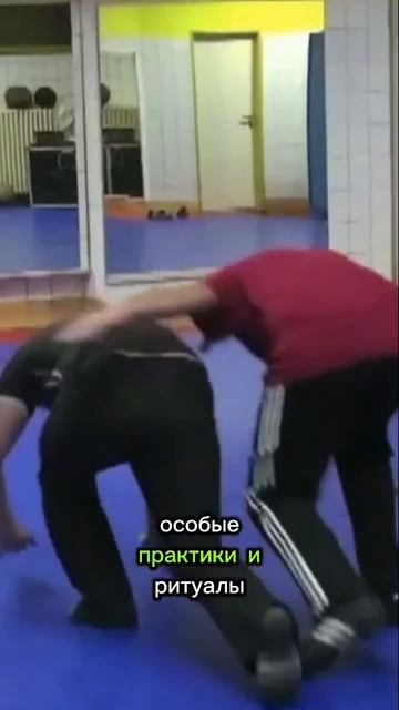 Сила Взгляда Вадим Старов Vs боец ММА иностранный французский легион. Скептик Бесконтактного Боя