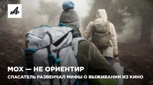 Мох — не ориентир. Спасатель развенчал мифы о выживании из кино
