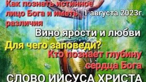 «Познать истинное лицо и глубину сердца Бога», «Различия» — слово Иисуса Христа 01.08.23