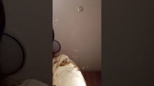 Настя делает игрушку-гадалку
