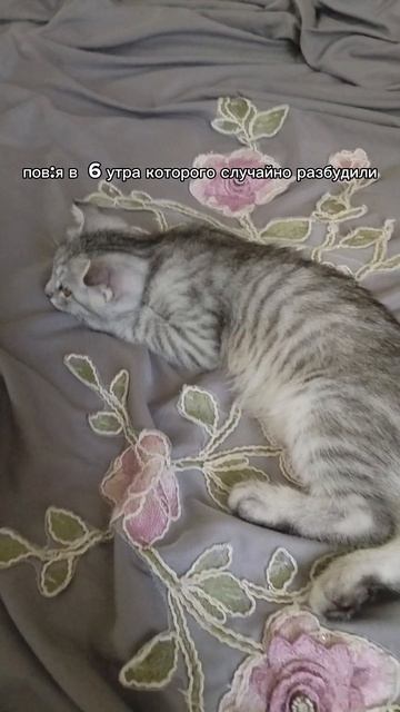 пов без хейта