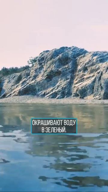 Клип @dsk_media