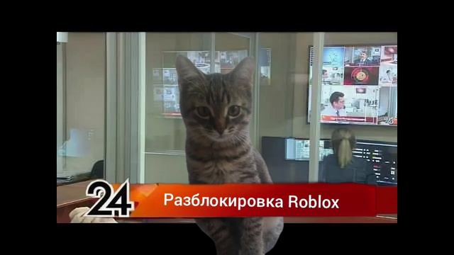 Главные Новости разблокировка Roblox