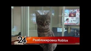 Главные Новости разблокировка Roblox