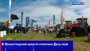В Ленинградской области отметили День поля