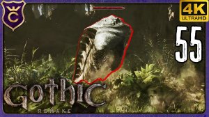 БОЛЬШАЯ ОХОТА НА БОЛОТОЖОРОВ! 55 Gothic 1 Remake