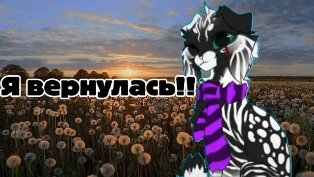 Я вернулась!!!
