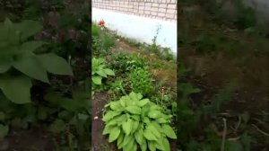 Здравствуйте