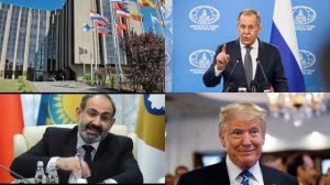 Россиянам раскрыли самые опасные сорняки на даче
