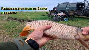 Разведывательная рыбалка на сазана