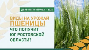 Виды на урожай пшеницы. Будут ли семена? | День поля Кирова – 2026