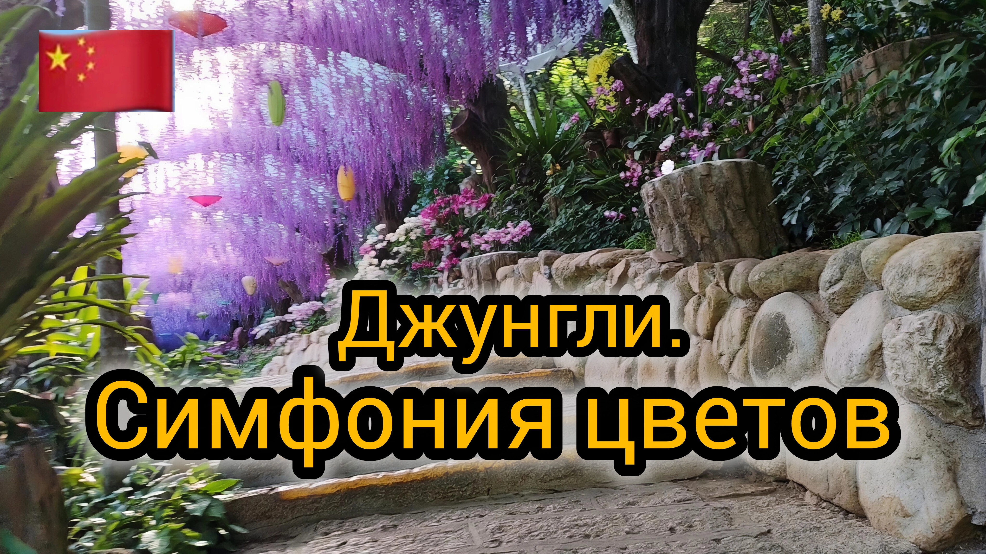 Джунгли и Орхидеи. Тропический сад.