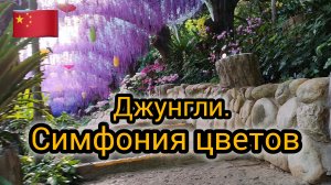Джунгли и Орхидеи. Тропический сад.